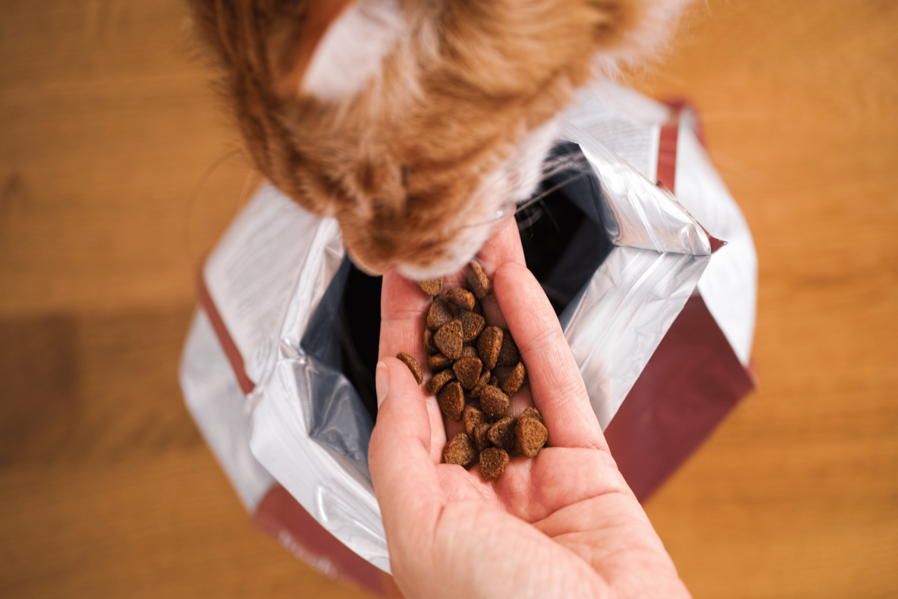 pet-food.png