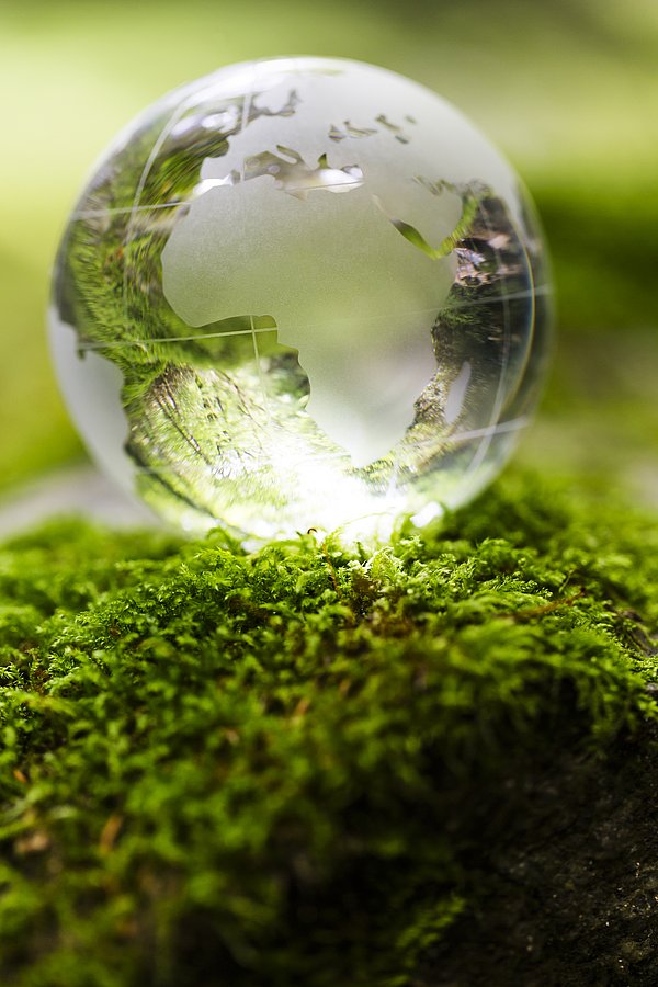 1153985802 iStock-1153985802.jpg