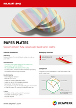 Paper plates flyer